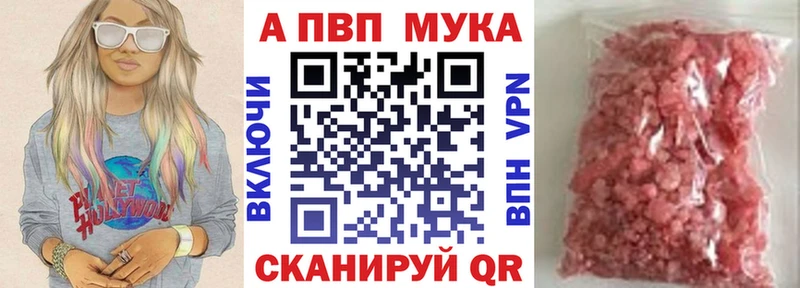 Альфа ПВП СК Сокол