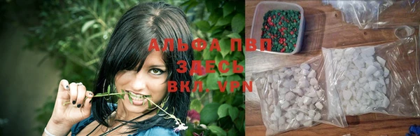 индика Армянск
