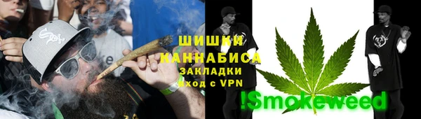 индика Аркадак