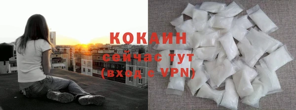 индика Армянск