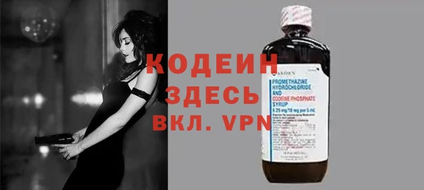 индика Аркадак