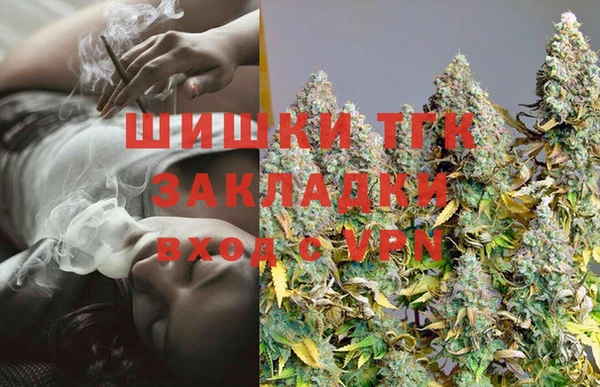индика Аркадак