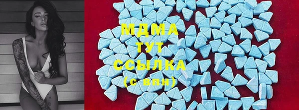 индика Армянск