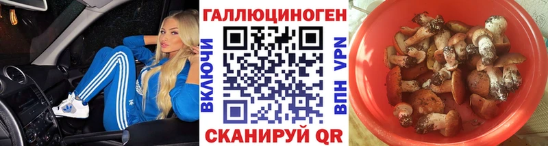Галлюциногенные грибы Magic Shrooms  наркошоп  Сокол 